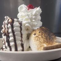 Dairy Twist ico