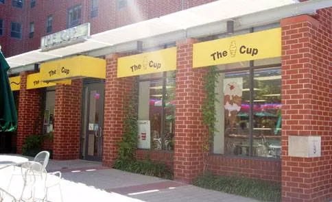 The Cup Picture 2