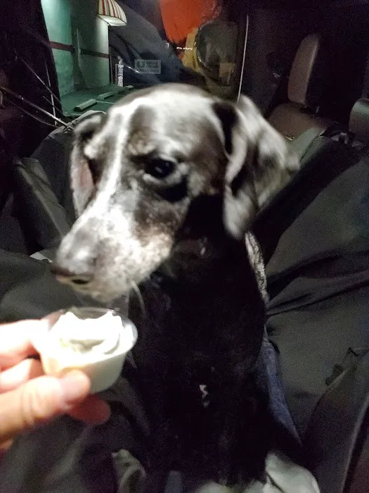 Rita's Italian Ice & Frozen Custard Picture 3