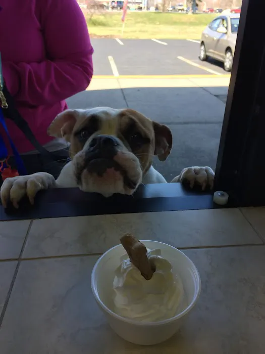 Kenny's Corner Ice Cream Picture 2