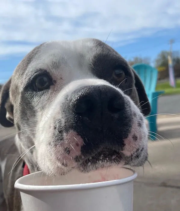 Kenny's Corner Ice Cream Picture 5