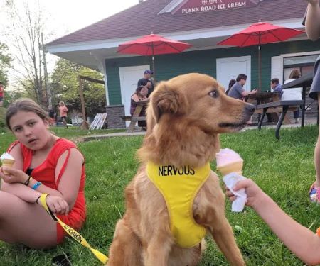 Plank Road Ice Cream