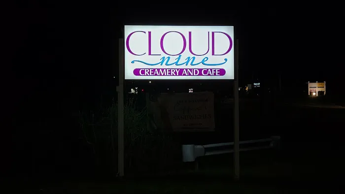 Cloud Nine Creamery and Cafe Picture 7