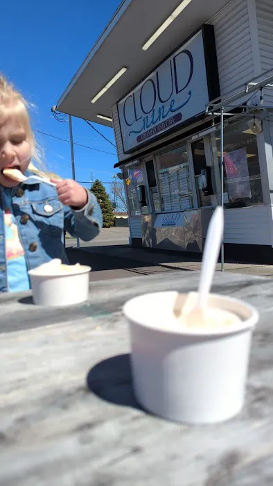 Cloud Nine Creamery and Cafe Picture 5
