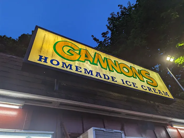 Gannon's Isle Picture 9