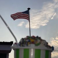 Nelson Creamery ico