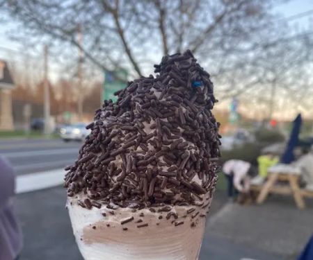 Sno Top
