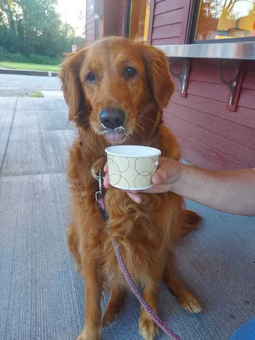 Cobblestone Ice Cream Parlor Picture 5