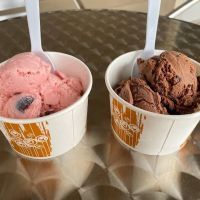 Jen & Kerri's Ice Cream Station ico