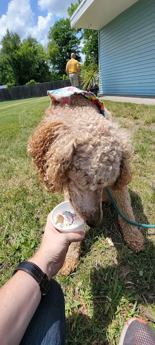 Bailey's Dairy Treat Picture 1