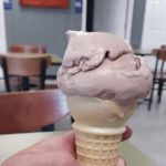 The Arctic Cow