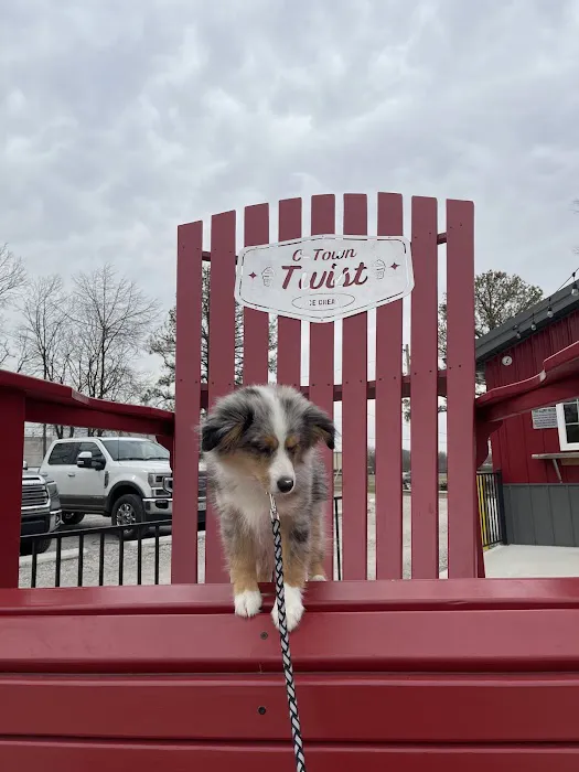 C-Town Twist Ice Cream Stand and Mini Golf Picture 5