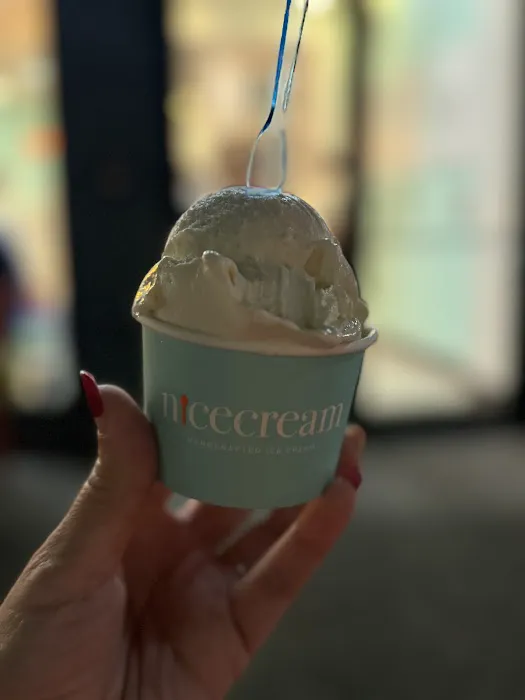 Nicecream Picture 3
