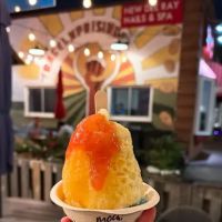 Le Petit Ananas Shaved Ice ico