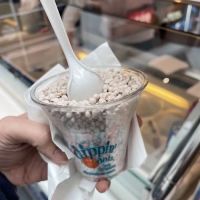 Dippin' Dots ico