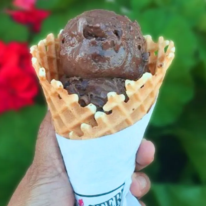 Bruster's Real Ice Cream Picture 6
