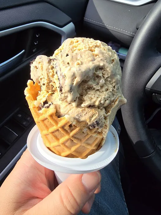 Bruster's Real Ice Cream Picture 7