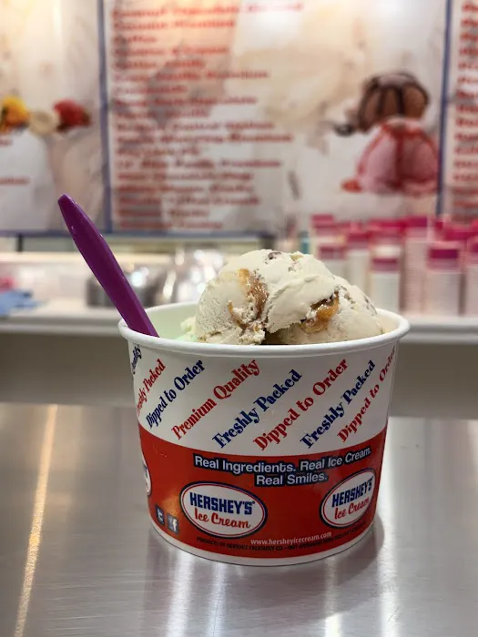Deborah's Market Hershey Ice Cream Picture 5