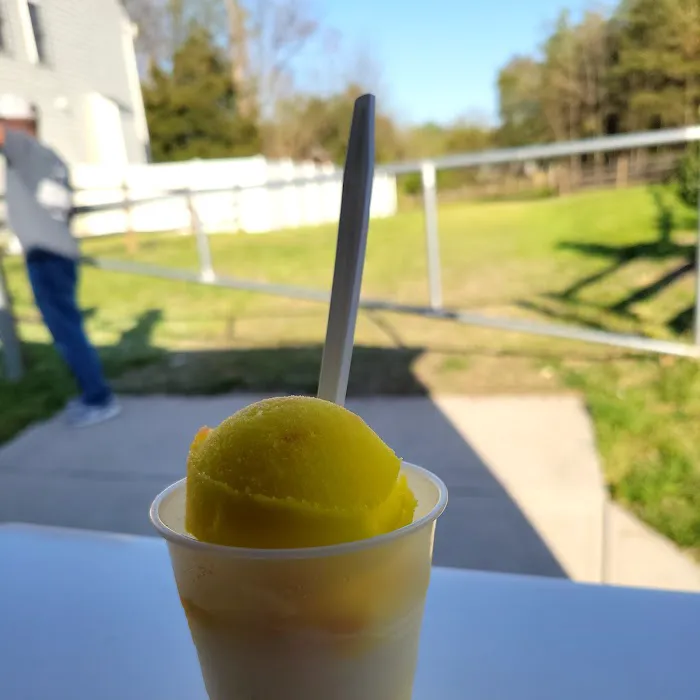 I Got The Scoop Picture 9