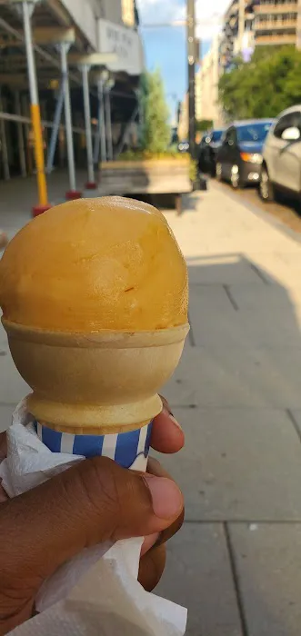 Presidential Scoops Picture 8