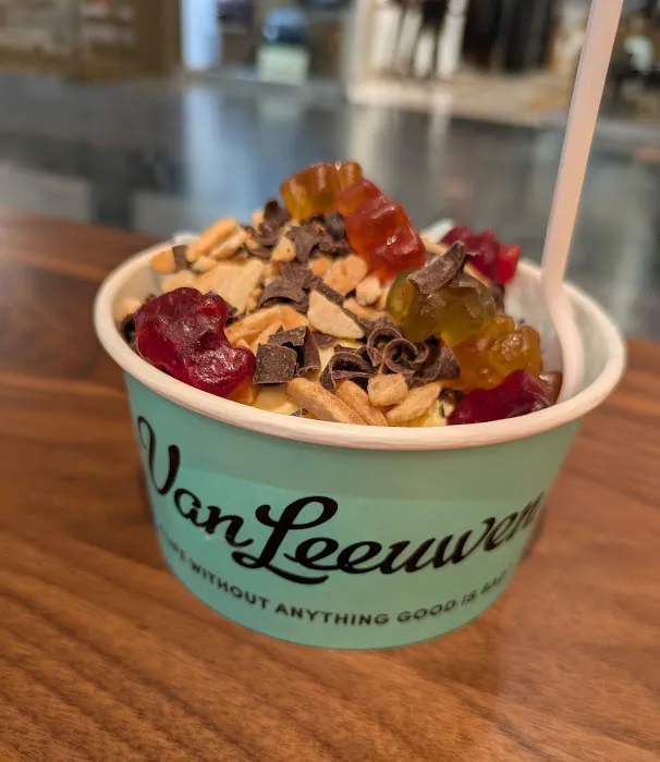 Van Leeuwen Ice Cream Picture 6