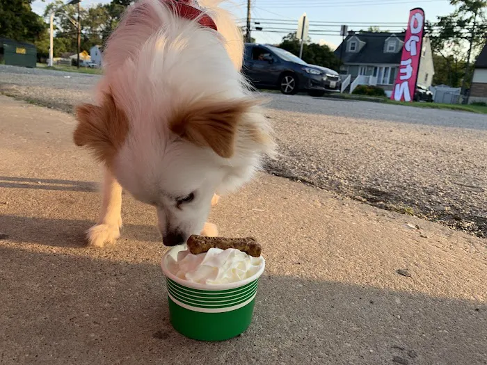 Rehak's Snowball Stand Picture 1