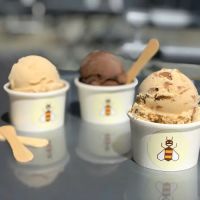 B-Line Ice Cream ico