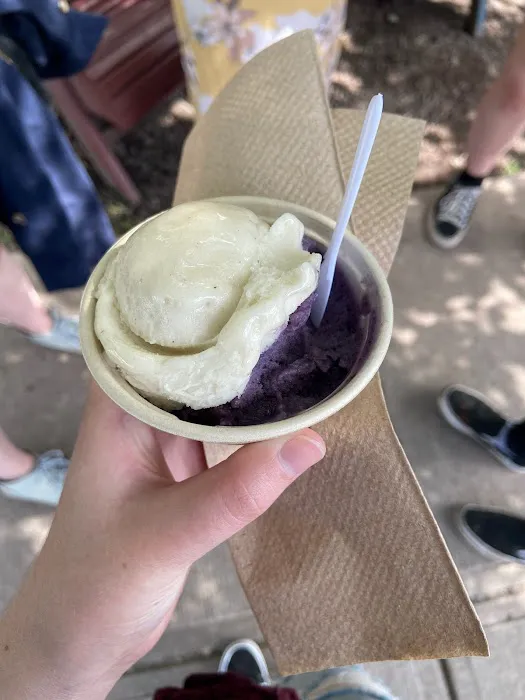 Milkweed Oat Milk Gelato Picture 7