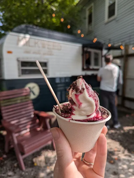 Milkweed Oat Milk Gelato Picture 1