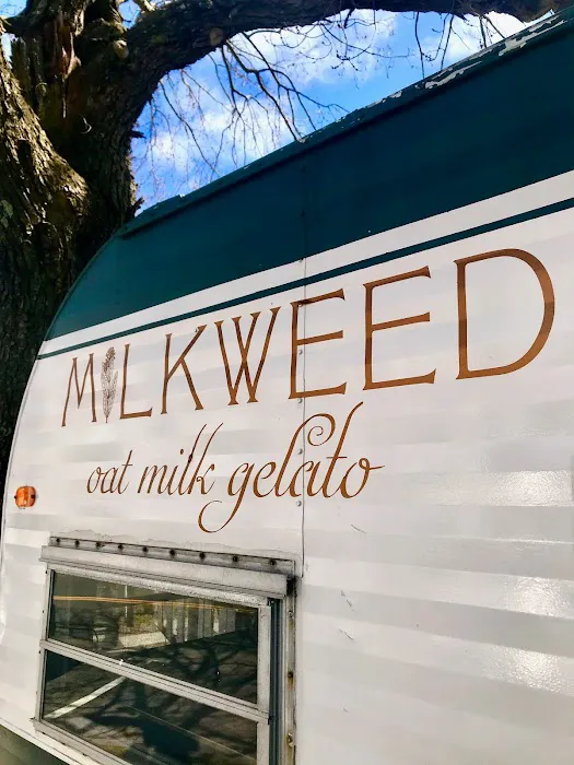 Milkweed Oat Milk Gelato Picture 9