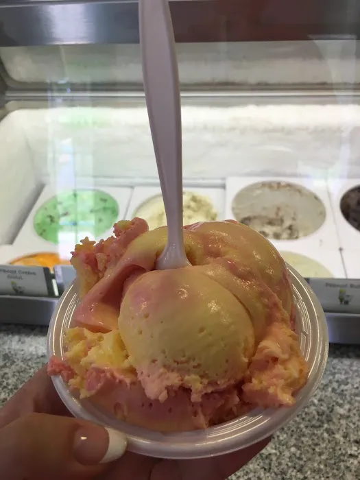 Hickory Stick Ice Cream On 7th Street Picture 6
