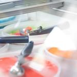 The Abundance Water Ice Shoppe - Event Catering