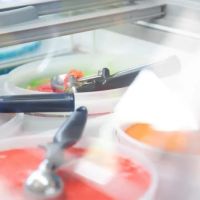 The Abundance Water Ice Shoppe - Event Catering ico