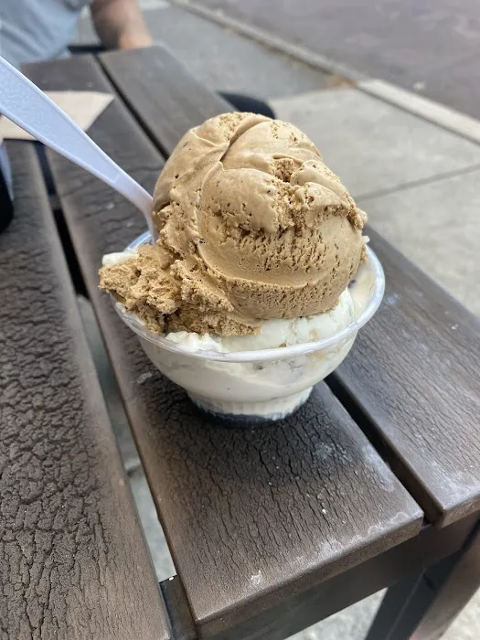 Downtown Scoop Picture 3