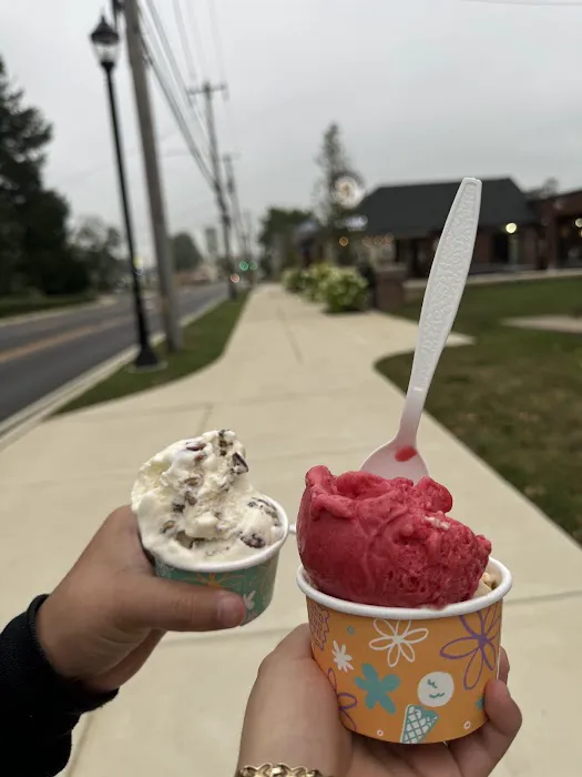 Nina's Waffles and Ice Cream Picture 2