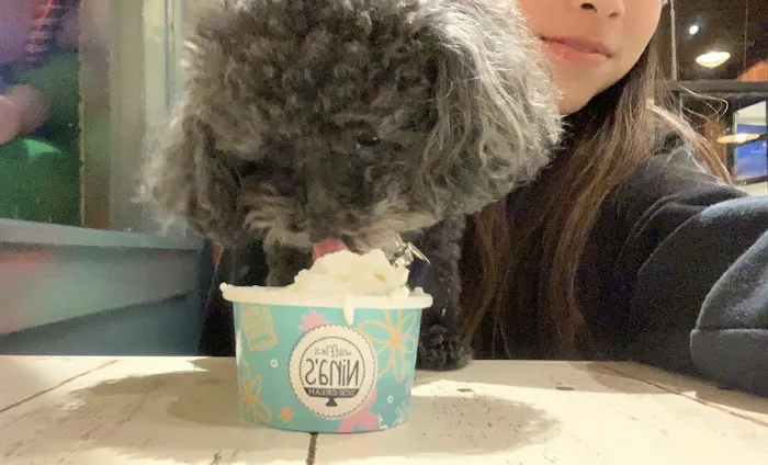 Nina's Waffles and Ice Cream Picture 4