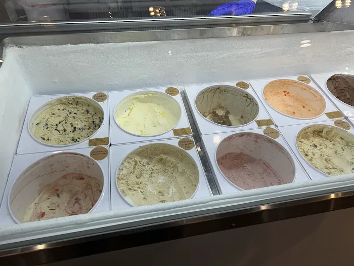 Scoop Happy Picture 3