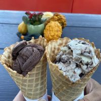Ava's Ice Cream and Water Ice ico