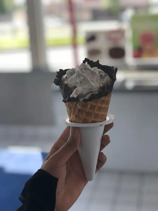 Dairy Queen (Treat) Picture 4
