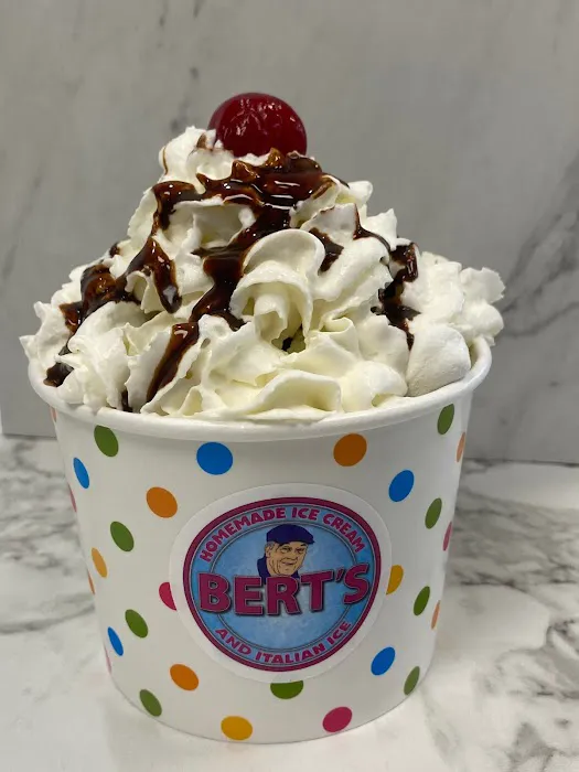 Bert’s Homemade Ice Cream & Italian Ice Picture 6