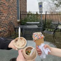 Fredon Dairy ico