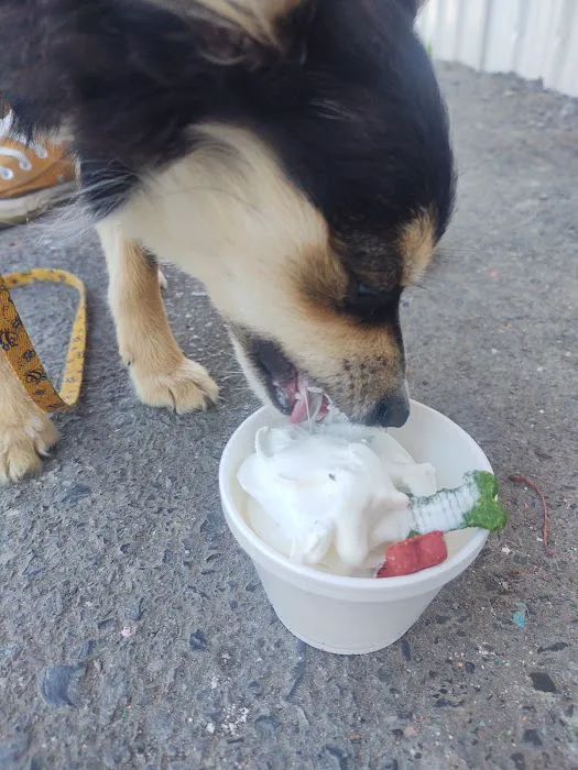Taylor Marie's Ice Cream Parlor Picture 10