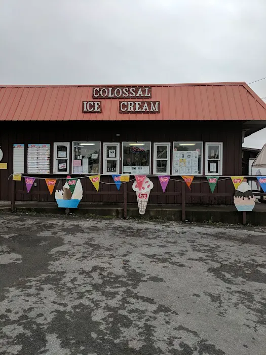 Colossal Ice Cream Picture 6