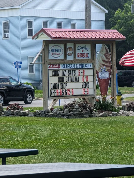 Zems Ice Cream, Miniature Golf & Game Room Picture 10
