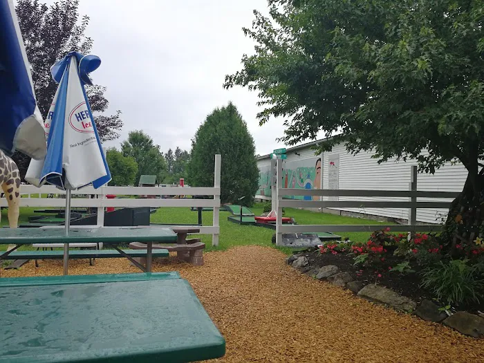 Zems Ice Cream, Miniature Golf & Game Room Picture 9