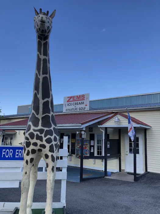 Zems Ice Cream, Miniature Golf & Game Room Picture 5