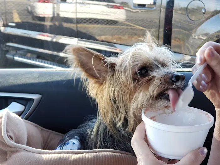 Dads Ice Cream Picture 3