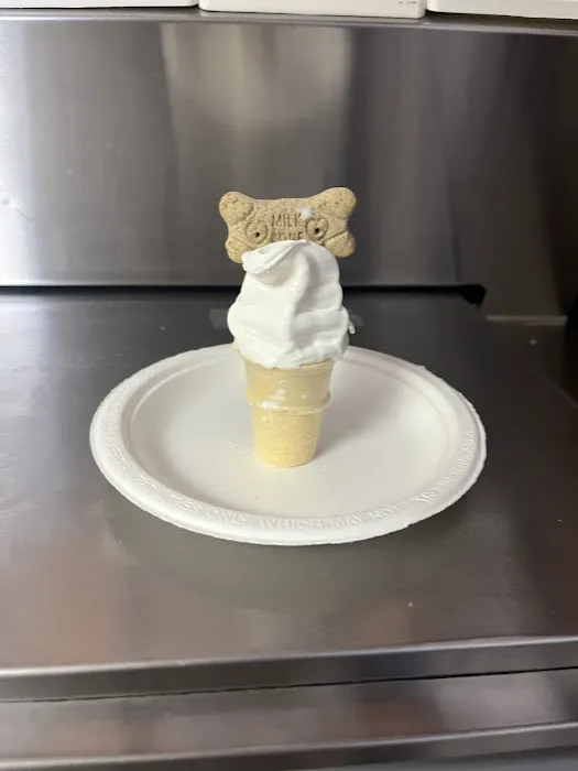 Joan’s Cones Ice Cream Picture 6