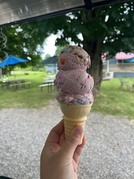 Joan’s Cones Ice Cream Picture 1