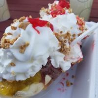 Roc Star Ice Cream ico
